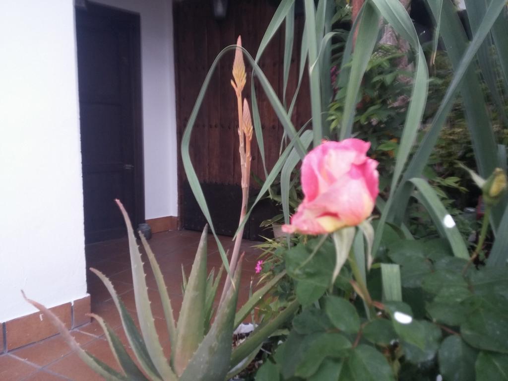 Balcon Del Velillos-"Rincon De Marcelo" Tozar Ngoại thất bức ảnh