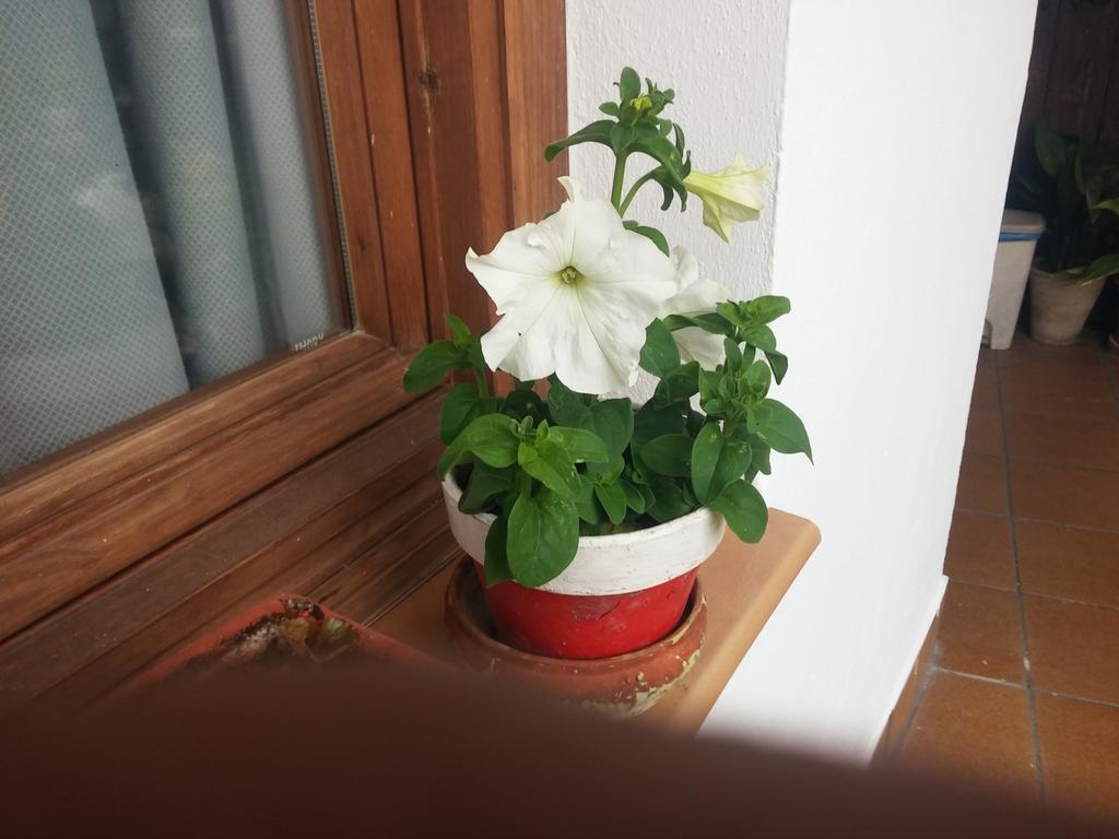 Balcon Del Velillos-"Rincon De Marcelo" Tozar Ngoại thất bức ảnh